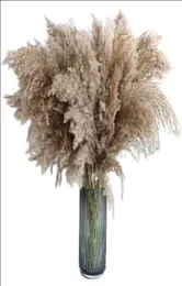 Decor Pampas Gras Pompous getrocknete Pampasspflanzen flauschige Stiele Pompus natürlicher großer großer weißer brauner Stielstrauß für Home Wedding B6642134