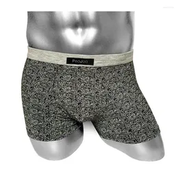 Brand Brand Brand Cotton Mens Short Boxer In biancheria intima con mutandine maschili di grandi dimensioni a punta comoda