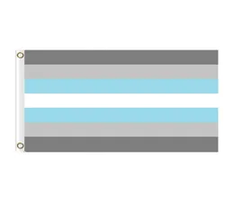 Demiboy Flag Pride LGBT Flag 3x5 ft Banner 90x150cm Festival Partygeschenk 100D Polyester Druck 95946666