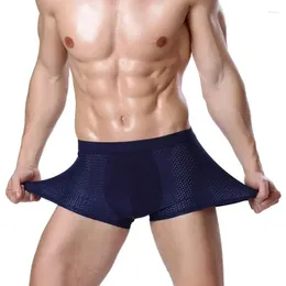 Underpants 4pcs/lot mutandine maschile pacchi maschi shorts boxer biancheria intima foro di bambù di grandi dimensioni 5xl6xl7xl