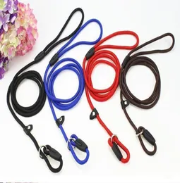 Nylon Rope Dog Whisperer Cesar Millan Style Slip Training Lead Lead and Collar Red Blue Black Colors6256153