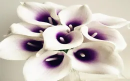 Prawdziwy dotyk Callas 27PCS 35CM1378 Długość Super sztuczne kwiaty Symulacja Symulacja Calla Lily Pu Flower for Wedding Flower5151385