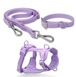 PVC Dog Leash و Collar Pet Leadh Strong Hucked Duty Rubber PVC Coated Fashion Dog Clash for Medium Carge Dogs 2202810045