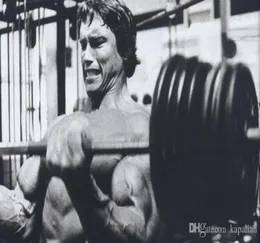 Arnold Schwarzenegger плакат.