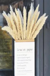 50 pezzi secchi piccoli pampas canne di canna pantas Pantas artificiale decorazione vera piante decorazioni per la casa decorazione per matrimoni298c253b1062529