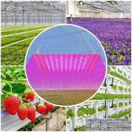 Wachstum von Leuchten 1000W FL -Spektrum LED -Pflanzen Licht 220 V Blütenwachstum Licht 1500W Phytolamps für Sämlinge Fito Lampen Hydroponische Zelt DHPQC