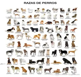 Tierplakat Das Hundeplakat Home Dekor Wallpaper Kunstplakate Print Popaper 16 24 36 47 Zoll3031621