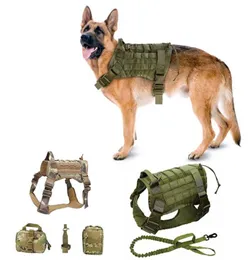 Cablatura per cani tattiche militari Geste da pet pastore tedesco con guinzaglio di bungee in nylon per manico per piccoli cuccioli di cucciolo di guinzaglio 55532956