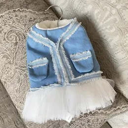 Abbigliamento per cani abiti per piccoli abiti da gatto inverno abiti da cucciolo di gatto caldo costume chihuahua Yorkie Yorkshire pomeranian outfit per animali domestici pomerania