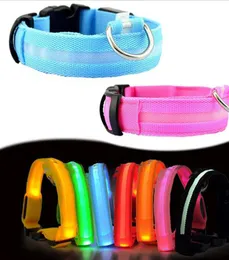 Nylon LED Pet Dog CollarNight Safety Flashing Glow In The Dark Dog LeashDogs Luminous Fluorescent Collars Pet Supplies9106621