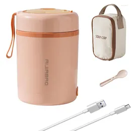 Abendessen USB Electric Lunchbox Leckschutz Thermal 0,6 l 5 V 12 V 24 V Tragbarer Outdoor -Picknickmilch Wasserheizungwärmer -Behälterheizung