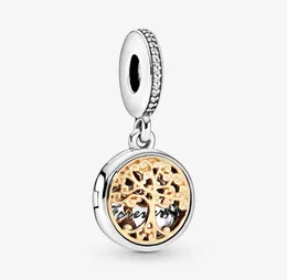 Yeni Varış 100 925 STERLING Gümüş Aile Kökleri Dangle Charm Fit Orijinal Avrupa Tılsım Bilezik Moda Mücevheratlar7561716