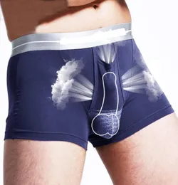 Underpants Sexy Gay Underwear Men Boxer Mesh Pouch Penis Up Scrotum Separation Cave Unterhosen Herren Boxers Hombre Boxershorts Br7110735