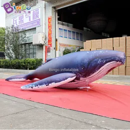 Symulowany motyw Ocean Whale Air Decoration Decoration Mall Performance Air Float Interactive Factory Dopaser