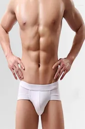 Underpants Soutong Light Breathable Low Rise Sexy UConvex Men Briefs Fashion Underwears6165227