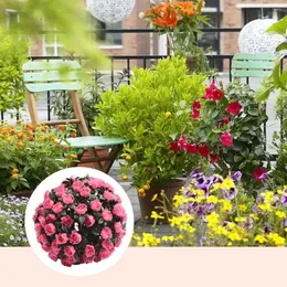 Fiori decorativi durevoli e deliziosi palline di fiori rosa topiaria cesto da giardino pendenza perfetta per le decorazioni per matrimoni di compleanno in casa
