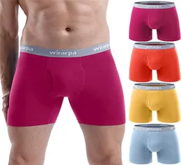 Men039S Underpants Boxer Briefs Cottle Stretch Underwear Open Fly Tagless 일반 레그 4 Pack778062