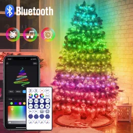 5m 10m 20m RGB LED SLUCA LUZ Bluetooth Fairy Lights Festoon Christmas Tree Wedding Outdoor Garden Bedroom Decoração do Ano Novo Garland