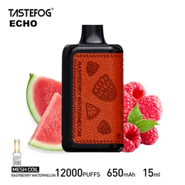 Original Tastefog Echo Einweg-Vape Pod 12000 Puff 15ml 650mAh E-Zigarette Puff 12000 2% 12 Geschmacksdampf mit Luftstromregelung und Anzeigebildschirm