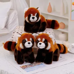 Doldurulmuş Peluş Hayvanlar Hayata Dirili 30cm Gerçekçi Lesser Panda Kabartık Peluş Bebek Yalan Yalan Yumuşak Karikatür Dolgulu Sevimli Bebekler Kızlar Hediye Yastığı Yastığı