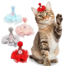 Abbigliamento per cani pizzo di buon compleanno cappello per bambini cappelli corona fai -da -te con corda baby party oggetti di scena per animali domestici carini