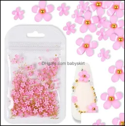 Dekoracje gwoździe salon zdrowie Piękno 2Gbag 3D Flower Jewelry Mieszana stalowa piłka do profesjonalnych akcesoriów DIY 5670236