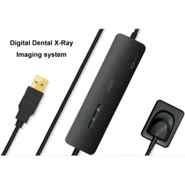 Dental RVG Sensor Digital Intra-oral INTOR SENTORY SYSTER HDR-500B CMOS CMOS APS Dentive Digital Sensor for Dentist Clinic