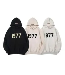 Men039s Hoodies Sweatshirts Designer Hoodie Essentias Kapuze für Herren Nebel Gott der Angst Multi -Faden -Fäden 1977 High Street C4492829