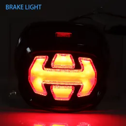 Motorcycle Led Rear Brake Light Tail Lamp Taillight For Harley