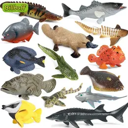 ألعاب الجدة الجديدة محاكاة أو المحيط حياة حيواني نموذج سمك السلمون حوت سمك السلمون سلطعون التونة بعملات التعليمية المبكرة للأطفال Y240521