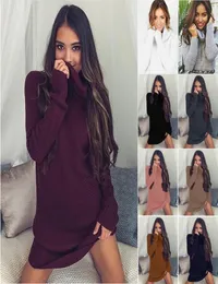 Lässige Kleider Ehuanhood Women Pullover Kleid Herbst Winter Rollkragenpullover Langarm gestrickt Mini MINI MISSIGE LOSSE PARTY VESTIDOS1747570