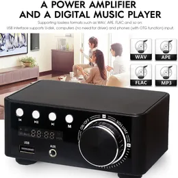 DHgate.com:Woopker HiFi Bluetooth Power Amplifier, 5.0
