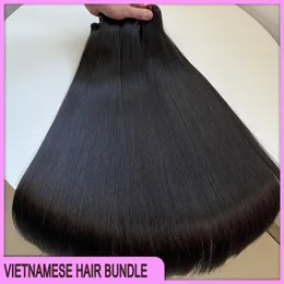 Grado 12A di alta qualità a doppia trama vietnamita Vietnam Extensions 100% Human Capelli trapunti peruviani Indiani Brasiliani Brasiliani Silky Strai 2 bundle