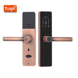 Graffiti Smart Lock Passics Swipe Lock Indoor Bedroom Room Door Door Lock Apartment Hotel New Style