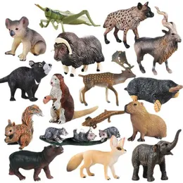 Gry nowatorskie symulacja Forest Wild Animals Figurines Capybara Hyena Musk-Ox Model Figurka Dzieci Kognicja Zbierz ozdoby prezenty zabawkowe Y240521