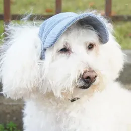 Psa odzieżowa kapelusz letni baseball z projektem bezstronnym dla kotów miękka wygodna regulacja klamry Pour Ochrona przeciwsłoneczna