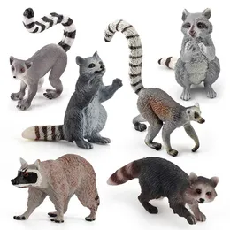 Neuheit Spiele Kinder Kinder Spielzeug Geschenke Waschbär Figuren Tiere Actionfigur Ringschwanz Lemur Figuren Sammlung Modelle Home Decory Educate Y240521