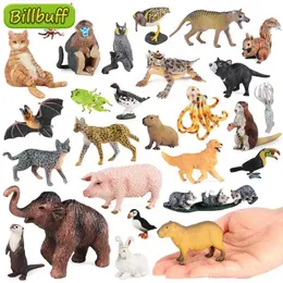 Simulazione di giochi di novità Simulazione di figure di zoo di animali selvatici Capybara Cat Bats Lizard Lizard Model Action Figures Raccolta per bambini Gift Y240521