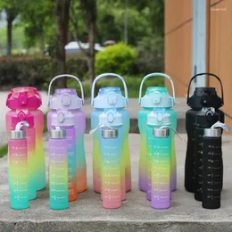 Tumbler drei Sätze Tassen Gradientenfarbe Flasche Wasserbecher Strohflasche Übergroße Plastik -Outdoor -Reisesportarten