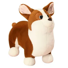 Chadwick corgi deals