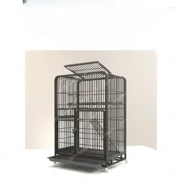 Transportadores de gatos Pante Cage Villa Super Grande Espaço Livre em casa Duas camadas com gatinha de animais de estimação