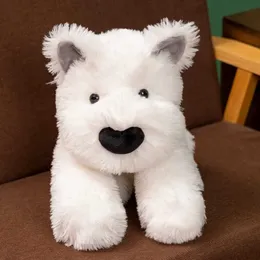 Bonecas de pelúcia 35 cm Kawaii Hair fofo Highland Highland Dog White Terrier Pluushie Soft Puppy Plush Toy Recheted Like Like Animals Baby Applease Doll H240521 RAE2