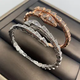 Hot Selling Designer 18K Gold Bangle Blingbling Zircon Elastic Snake Bone Armband Women's Fashion Light Luxury Brand Open Jewelry
