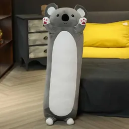 Bambole peluche animali da peluche koala gatto coniglio panda adorabile dono morbido lungo ufficio creativo pausa pranzo pranzo slecio