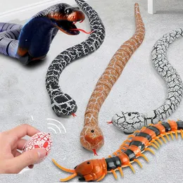 RC Snake Robots Toys for Kids Boys Children Girl 5 6 7 8 -летний подарок с дистанционным управлением Животные животные моделирование Электрическая кобра 240523