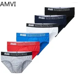 Underpants 6pcs/lot mutande sexy per uomini briefing mutandine da uomo in cotone modalità gay maschio morbido bikini brasiliano