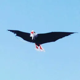 Uçurtma Aksesuarları Beyaz Kartal Uçurtma Saplama Hattı Yetişkinler için Uçurtma Sörfü 3d Uçurtma Çocuklar Uçan Oyuncaklar Rüzgarlar Kuş Uçurtmaları Sutherland Köpekbalıkları