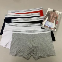 Erkek iç çamaşırı tasarımcısı iç çamaşırı seksi saf pamuk boksörleri Amerikan moda markası yüksek kaliteli nefes alabilen hızlı kurutma 3 paket