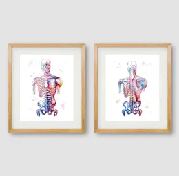 Músculos humanos Canvas Arte Impressão e pôster Sistema de aquarela Sistema Muscular Esqueleto Anatomia Pintura Corporal Arte Medicina Impressão Decoração de parede 3933210