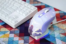 Dareu Dream Encounter em901 2.4g Game de mouse sem fio mouse roxo leve RGB Light Gaming Mouse com base de carregamento para menina 6000dpi